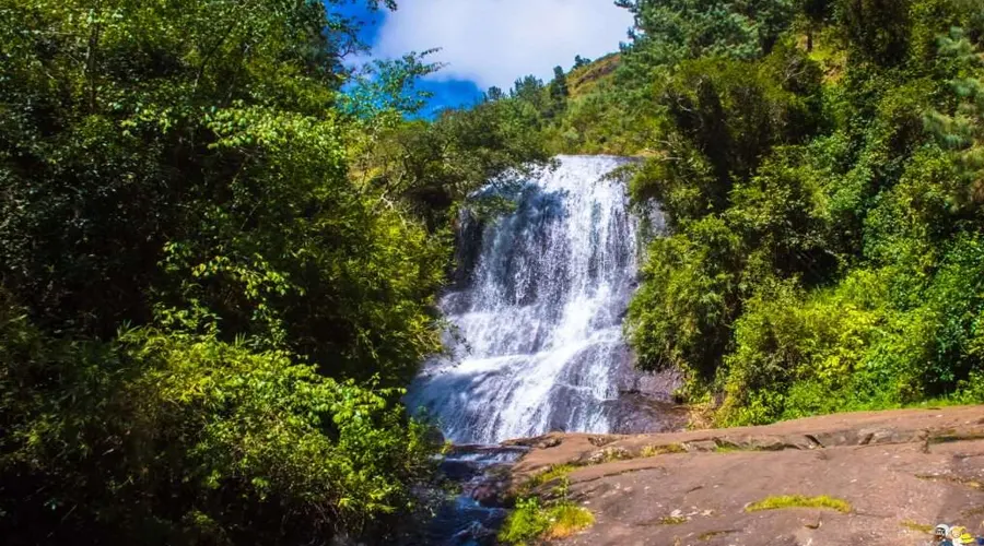 Bear Shola Waterfall